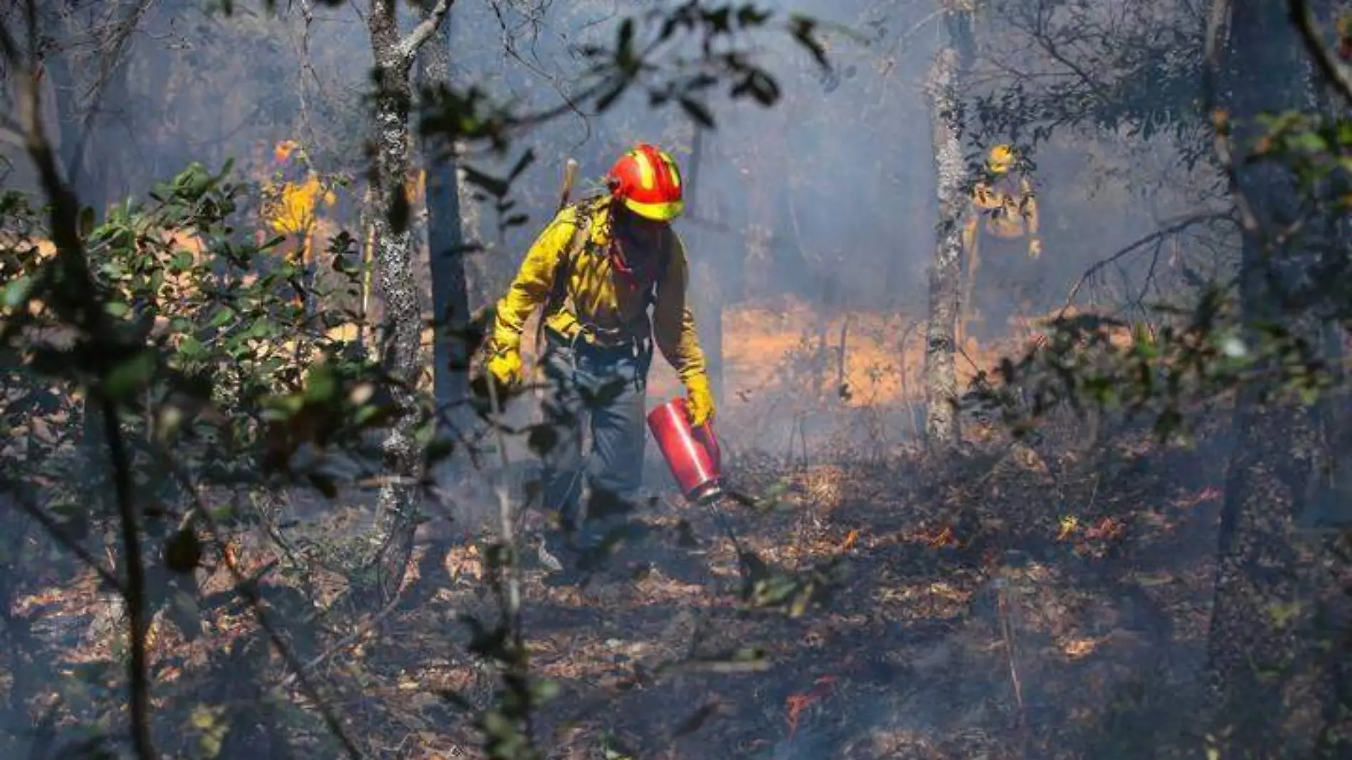 incendio forestal 2